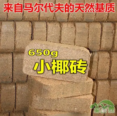 Pure Organic aseptic brick coconut powder coco peat coir nutrient 650G soil Orchid matrix high-end pet pad | Дом и сад