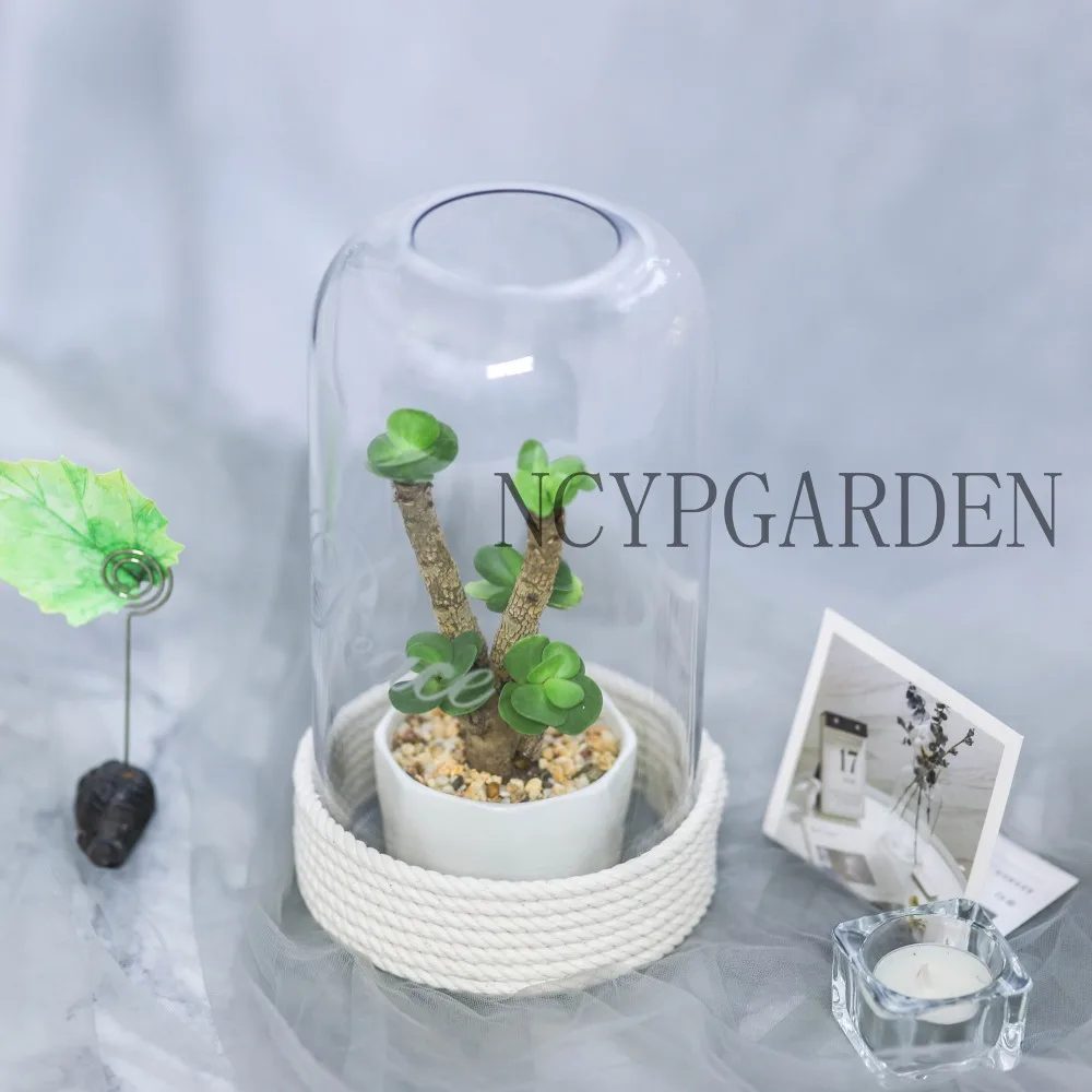 Современная простая стеклянная крышка подсвечник Cloche веревка лампа украшение Посуда Украшение стола дисплей