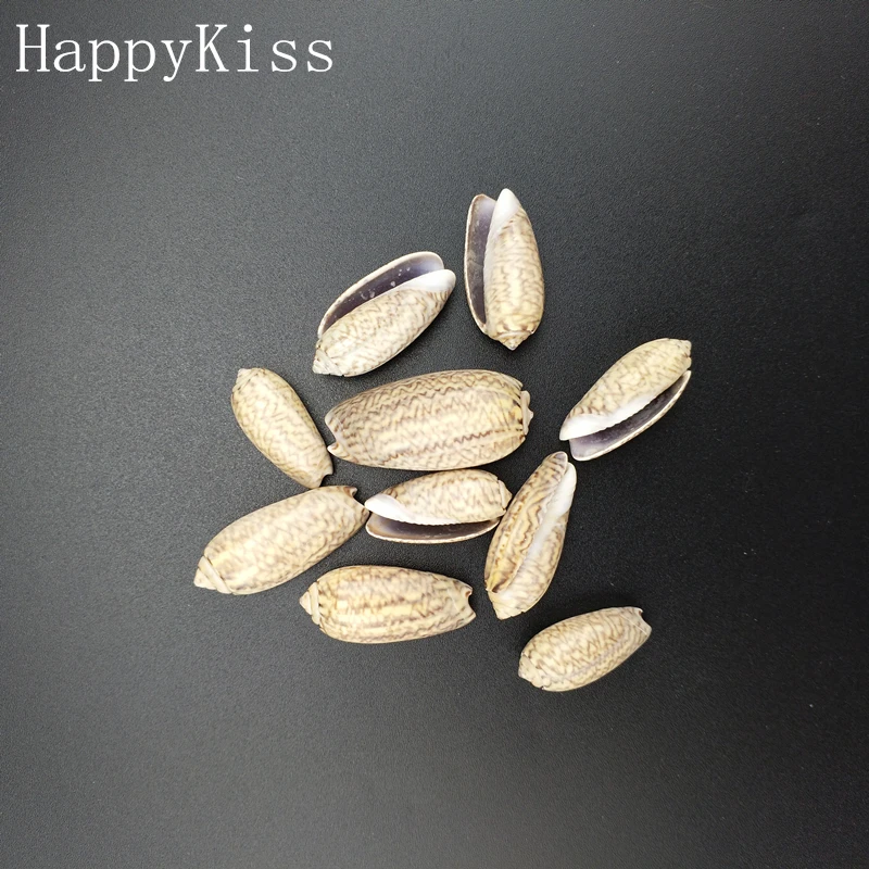 Бесплатная доставка Лидер продаж новинка 10 шт./лот натуральная Морская ракушка