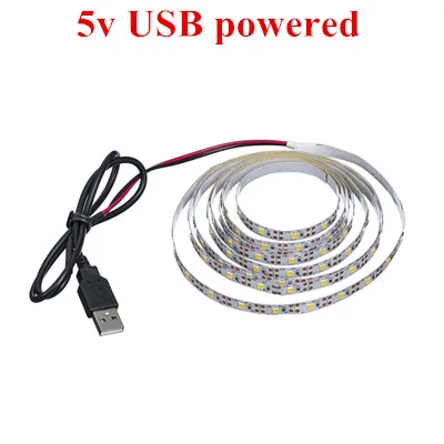 5V USB powered WELPUR батарея 5 в USB Светодиодная лента 2835 DC Светодиодный светильник гибкий 50 см 1 м 2 м 3 м 5 м белый теплый для ТВ фоновый светильник ing ночной Светильник - Испускаемый цвет: 5V USB powered