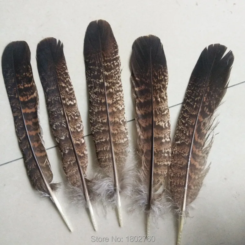 10 шт. французские перья для хвоста индейки 6 8 дюймов/15 20 см|turkey tail feathers|tail feathersfeather