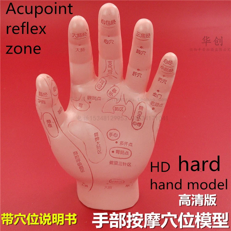 HD Human Acupuncture Palm hard Model Hand Medical teach Meridian Acupoint Model 15CM Traditional Chinese Medical Teaching Model