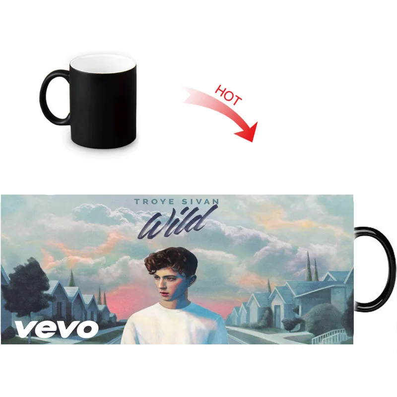 Индивидуальные керамические кофейные кружки Troye Sivan молочный чай Волшебная