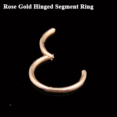 Rose Gold 1 шт. G23 титановый Опаловый камень шарнирное сегментное кольцо для губ ниппель хрящевой канат Спираль пирсинг Перегородка носа кликер с опаловым камнем - Окраска металла: Rose Gold