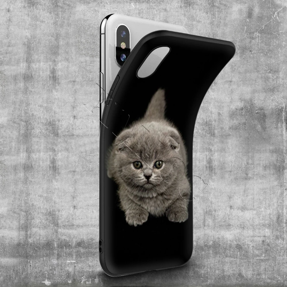 YIMAOC Британский короткий воздушный Кот Мягкий чехол для Apple iPhone SE 2020 5 детской 6 6s 7 8