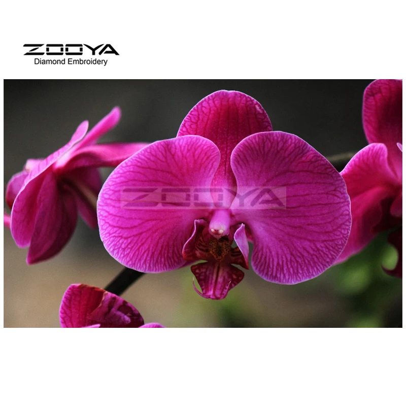 Алмазная вышивка крестиком с украшением в виде кристаллов Набор для рисования