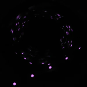 ИК-светодиодная лента, 12 В, 3528, 60 светодиодовм, для инфракрасного ночного видения нм, с функцией распознавания лица, с пультом дистанционного управления