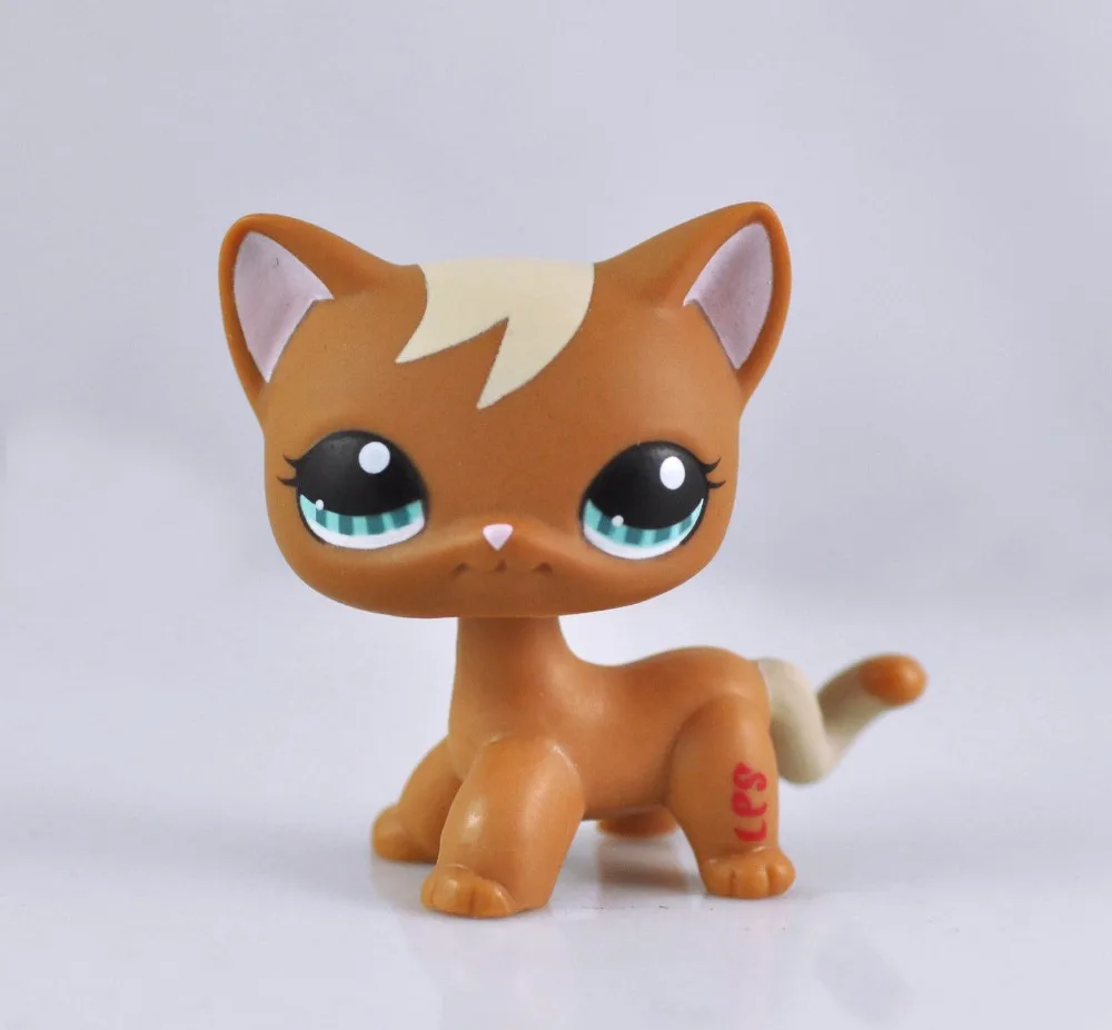 Маленький питомец короткие волосы кошка животное детская фигурка мальчика