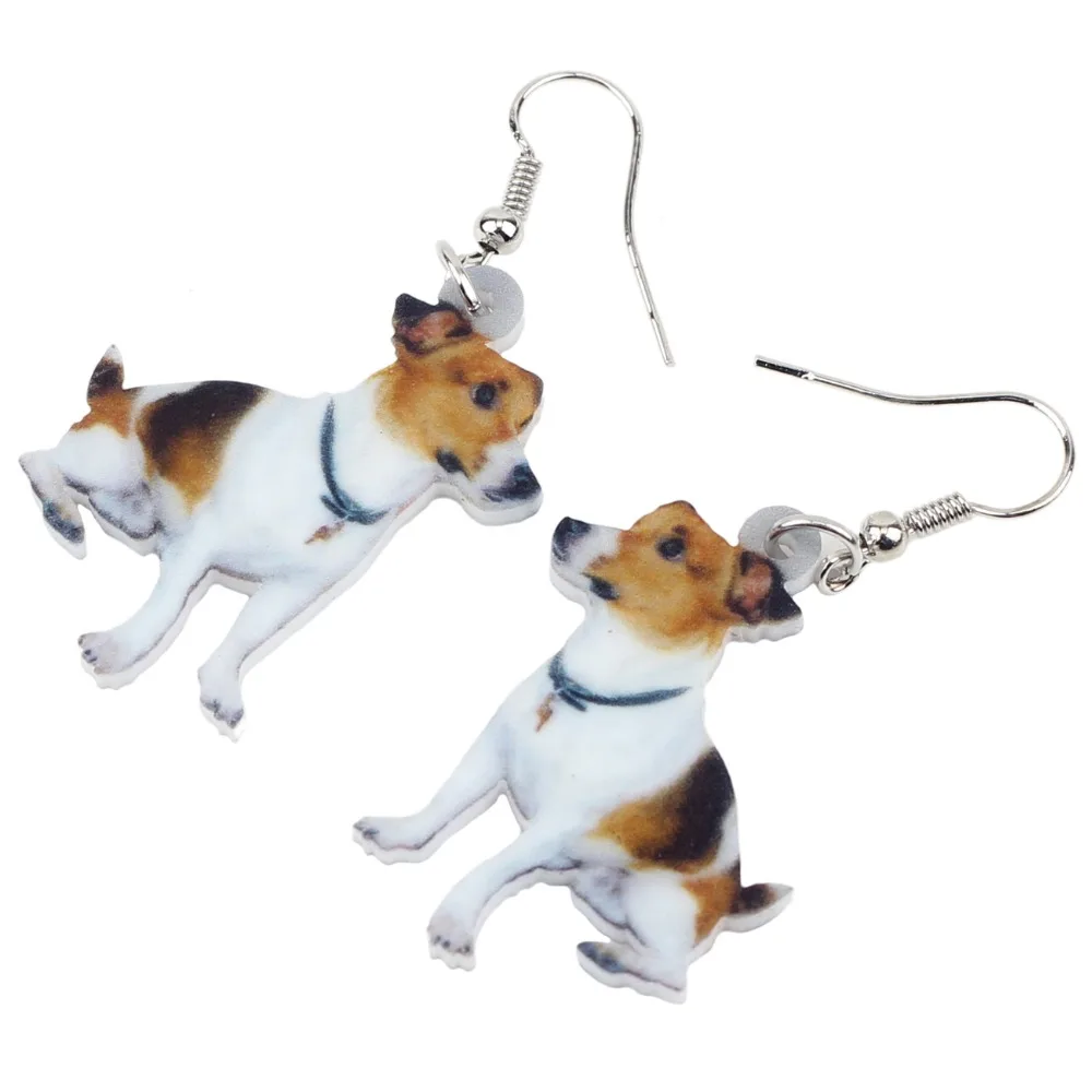 Женское акриловое ювелирное изделие Длинная подвеска в виде животного дешевые