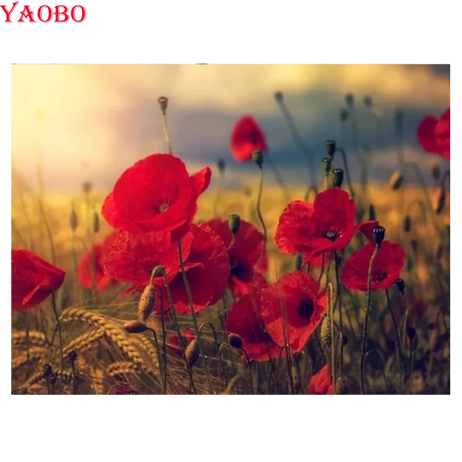 5D DIY алмазная живопись красный Мак цветы наборы для вышивки крестом Алмазная вышивка мозаичные картины по номерам Декор стены Искусство