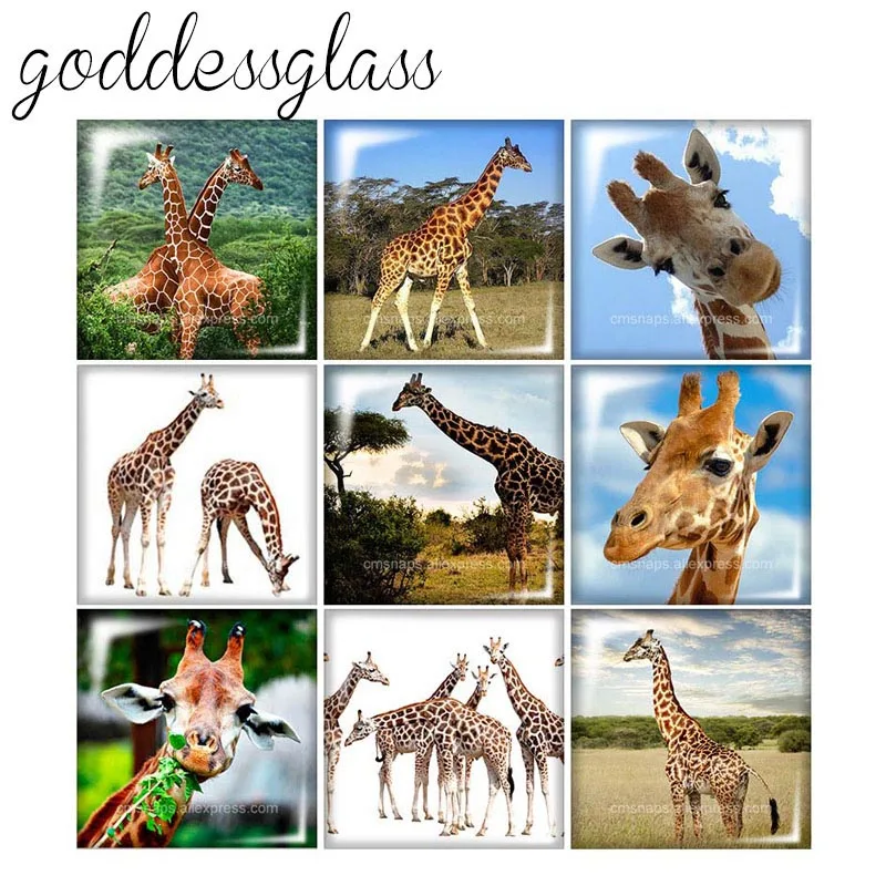 Коты &quot собака Тигр &quotСлон&quot Панда &quotВолк 10 шт. Смешанные 12 мм/20 мм/25 мм/30 мм