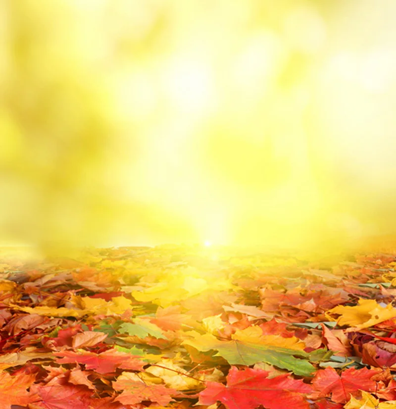 Фон для фотосъемки на Хэллоуин Виниловый фон осень тыквы фотостудия