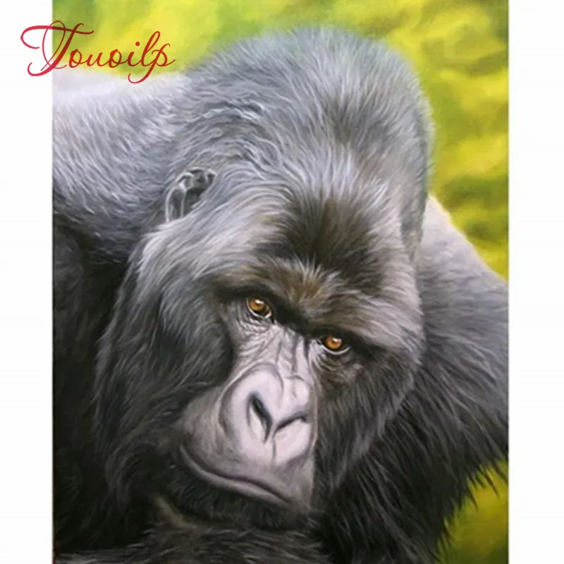 5D алмазная вышивка De Koning Van Gorilla живопись сделай сам крестиком Алмазная мозаика