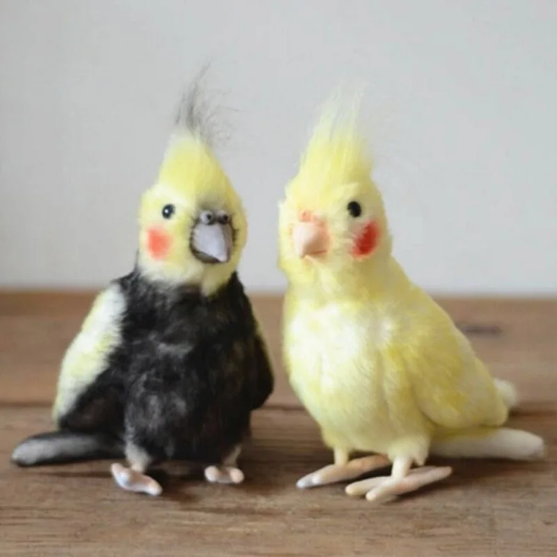 2 Цвета Моделирование Cockatiel кукла чучела птица плюшевая игрушка кукла животного детский подарок