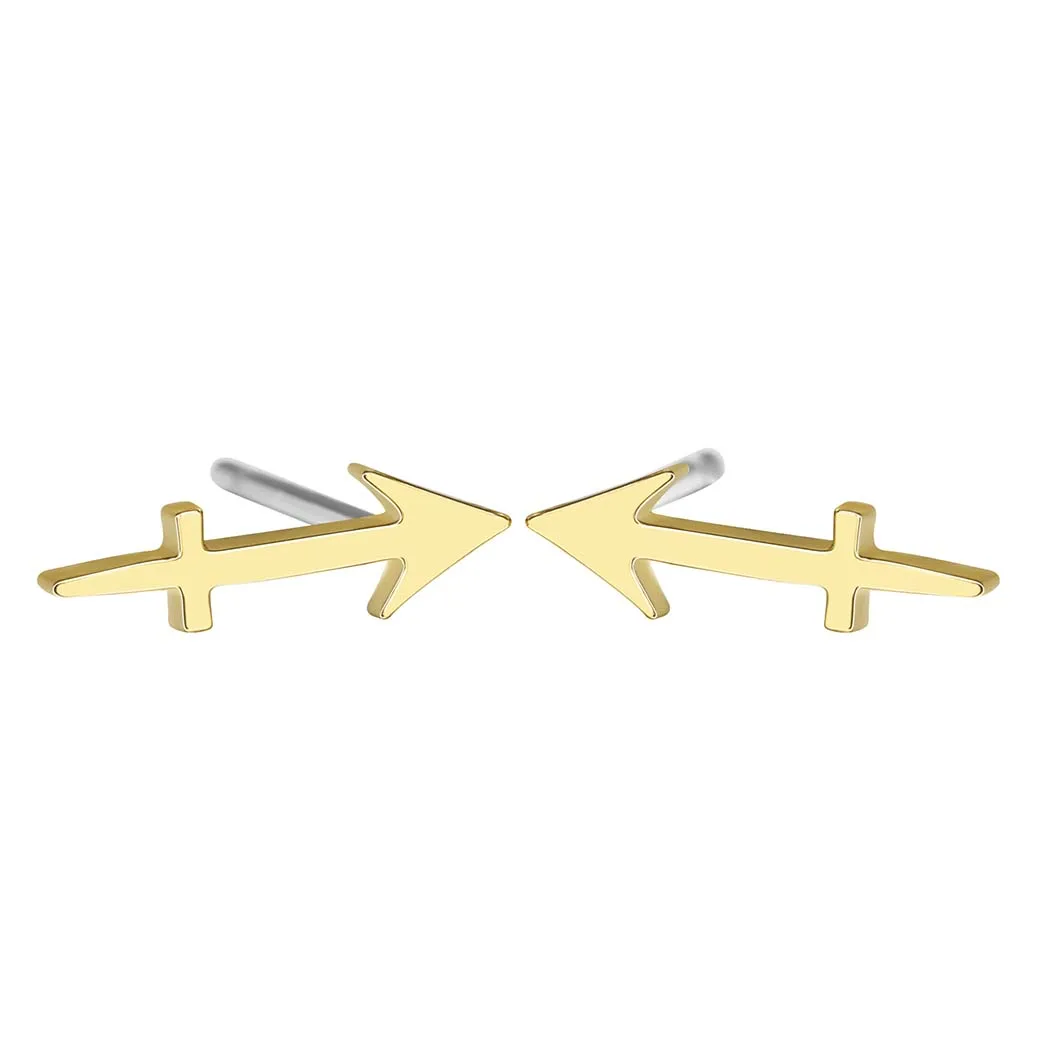 AE246- Sagittarius Женские серьги "Скорпион", астрология, 12 знаков зодиака, ювелирное изделие для женщин, готический стиль, винтажные маленькие серьги, подарок - Окраска металла: AE246- Sagittarius