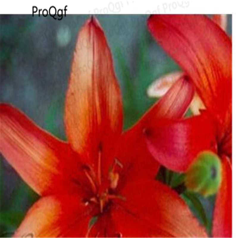 Ngryise 20 шт набор Lilium brownii Lily