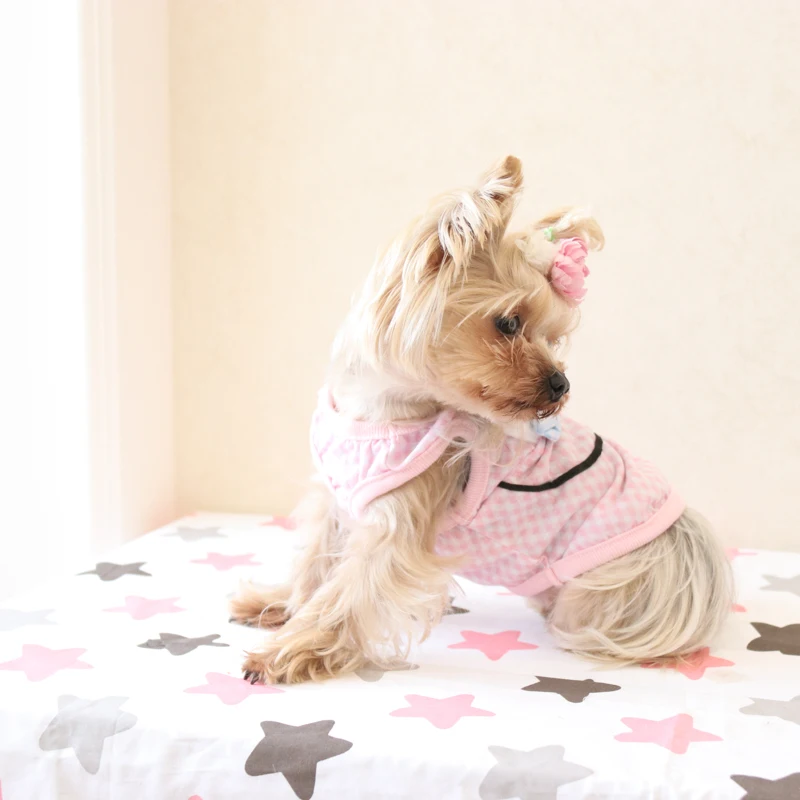 Kawaii Милая Одежда для кошек рубашки для домашних животных Одежда для собак породы Йоркширский терьер Мальтийский Чихуахуа весна лето 8CLP17 xxx
