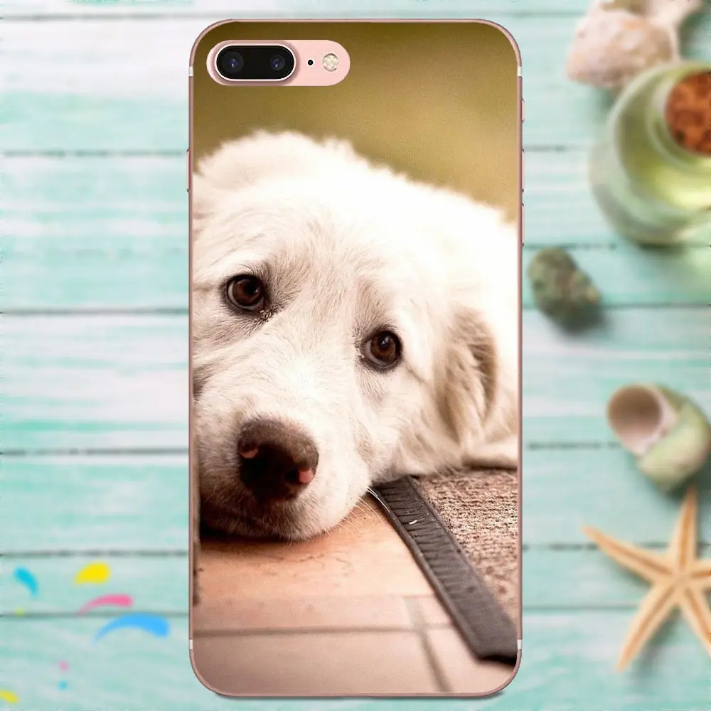 Bichon Frise Dog Soft Print Phone Cover Case For Huawei Mate 7 8 9 10 20 P8 P9 P10 P20 P30 Lite Plus Pro 2017 | Мобильные телефоны