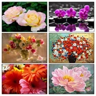 5d Diy Алмазная вышивка картины-наклейки сделай сам декоративный Рисунок со стразами мозаика крестиком узор Алмазная вышивка цветок