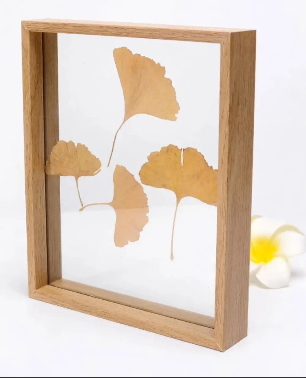 Wood Color Modern Art Creative Plant Glass Butterfly Specimen Frame Double-sided Photo Frame 5 inch 7 inch 8 inch 10 inch For Home Decor - Цвет: Wood Color