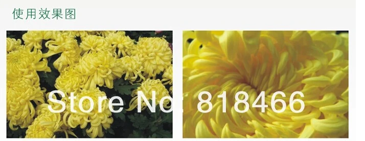 Черный Алюминий 52 мм Macro обратное кольцо адаптера для sony E NEX NEX-3 NEX-5 NEX-7 NEX-5N NEX-VG10 nex-52 байонетное крепление типа Е