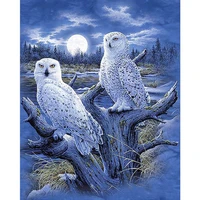 full squareround drill 5d diy diamond painting white owl 3d embroidery cross stitch 5d rhinestone home decor gift