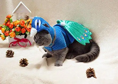 Павлин дизайн костюмы для домашних животных Хэллоуин животных Косплей Одежда для собак кошачьи шапки накидка 2 шт. Набор фестиваль товары для собак