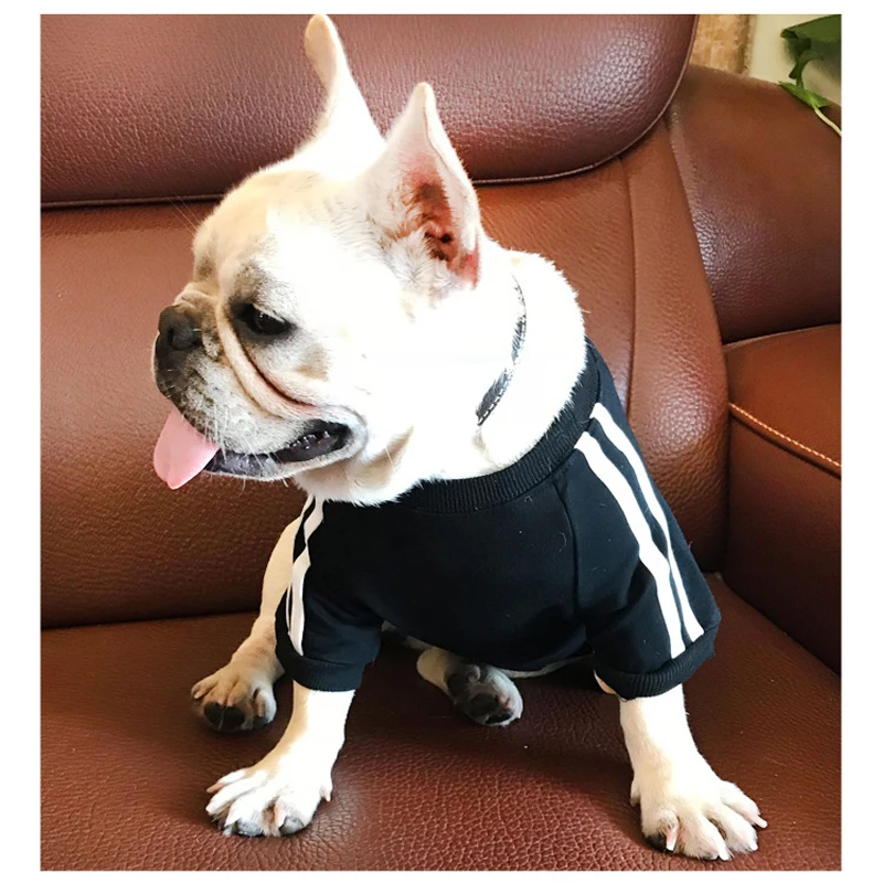 Свитшот для собак толстовка с капюшоном одежда йорков маленьких бульдогов