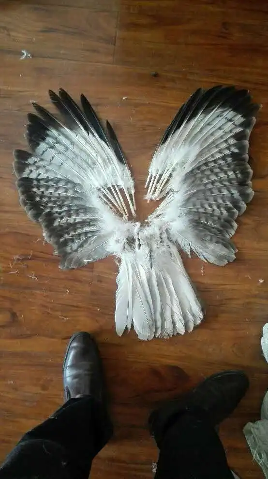 58 шт. декоративные перья 10 16 дюймов/25 40 см|tail feathers|owl feathersdecorative feathers |
