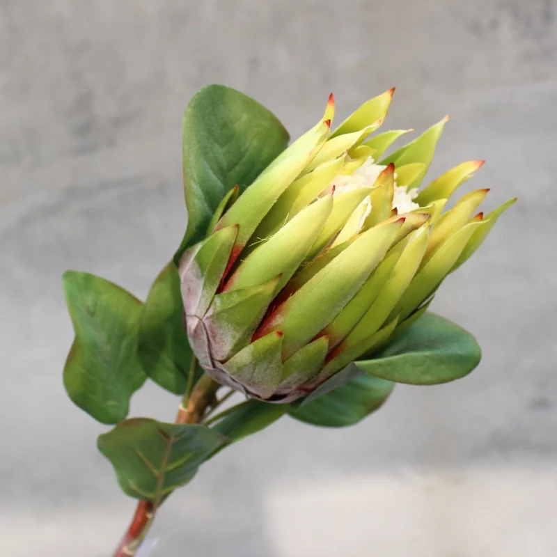 Король Protea искусственные шелковые цветы для дома декоративные вечерние