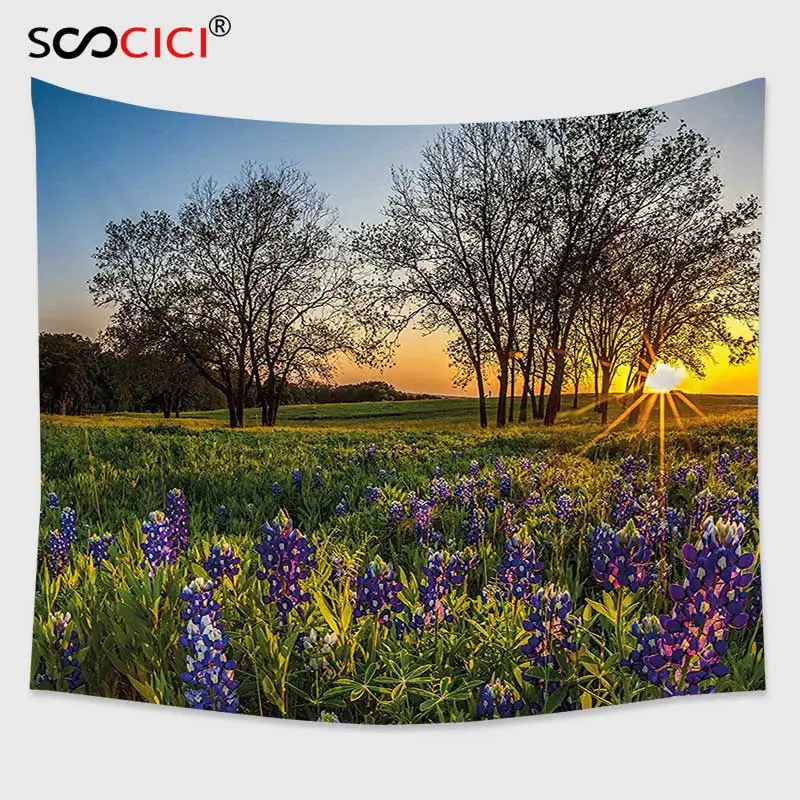 

Cutom Tapestry Wall Hanging,Nature Country Scenery with Lavender Meadow at Sunset Spring Beauty Foliage Eco Picture Multicolor