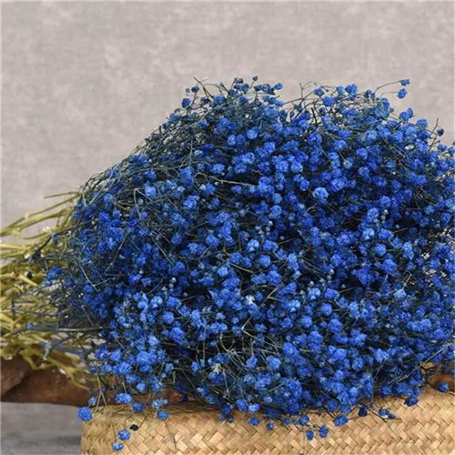DeepBlue Цветной сушеный гипсолюбивый цветок Свадебная вечеринка фото реквизит натуральное растение, без примесей сушеные цветы кафе, библиотеки украшения дома 45-50 см - Цвет: DeepBlue