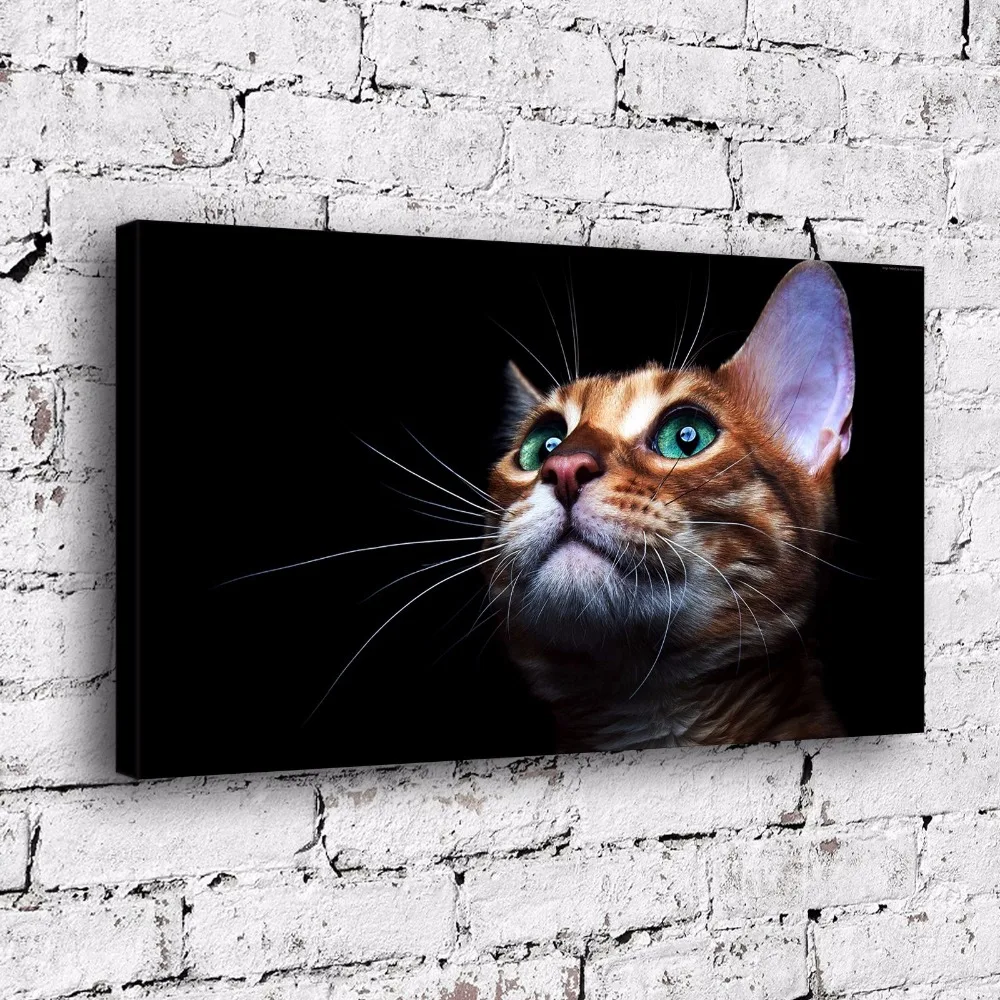 SR101087 Kitten Cute Natural Scenery Animal. HD Canvas Print Home decoration Living Room bedroom Wall pictures Art painting | Дом и сад