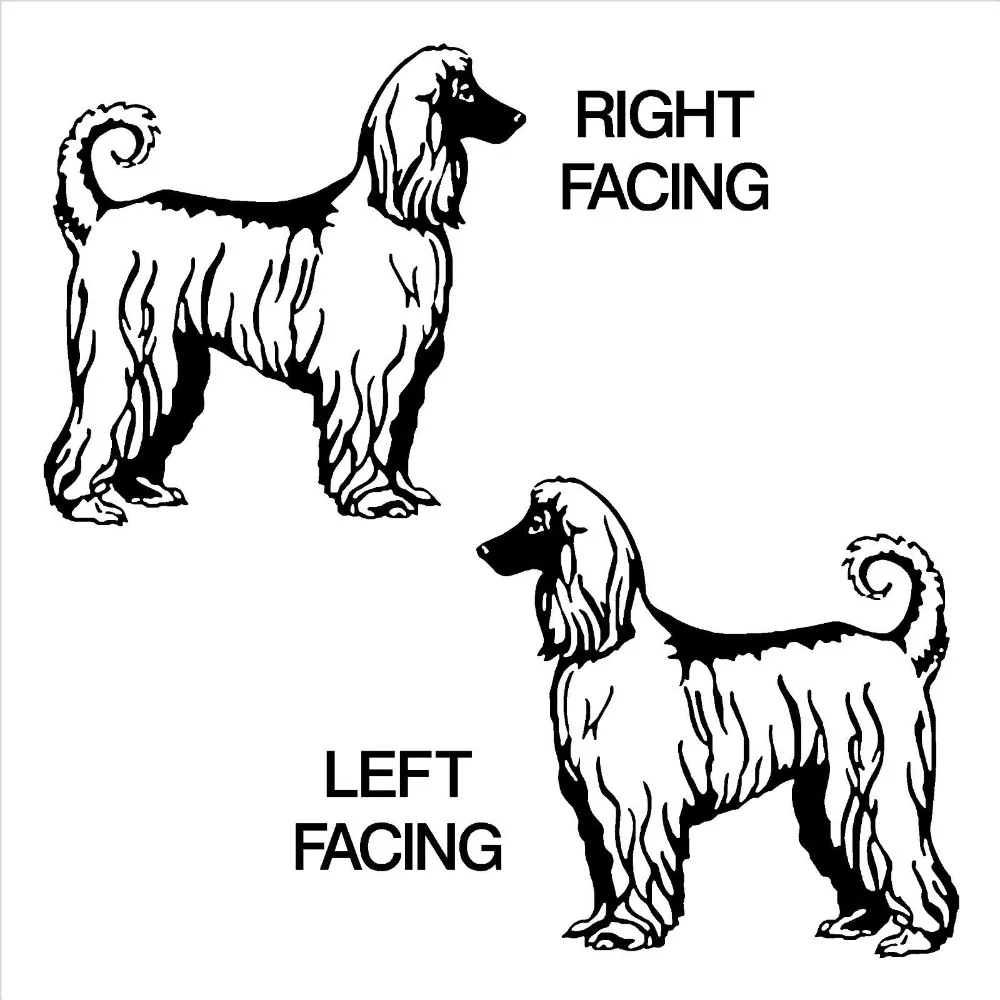 Afghan hound dog series free shipping vinyl wall stickers mural art of home decor living room decals animal F-159 | Дом и сад
