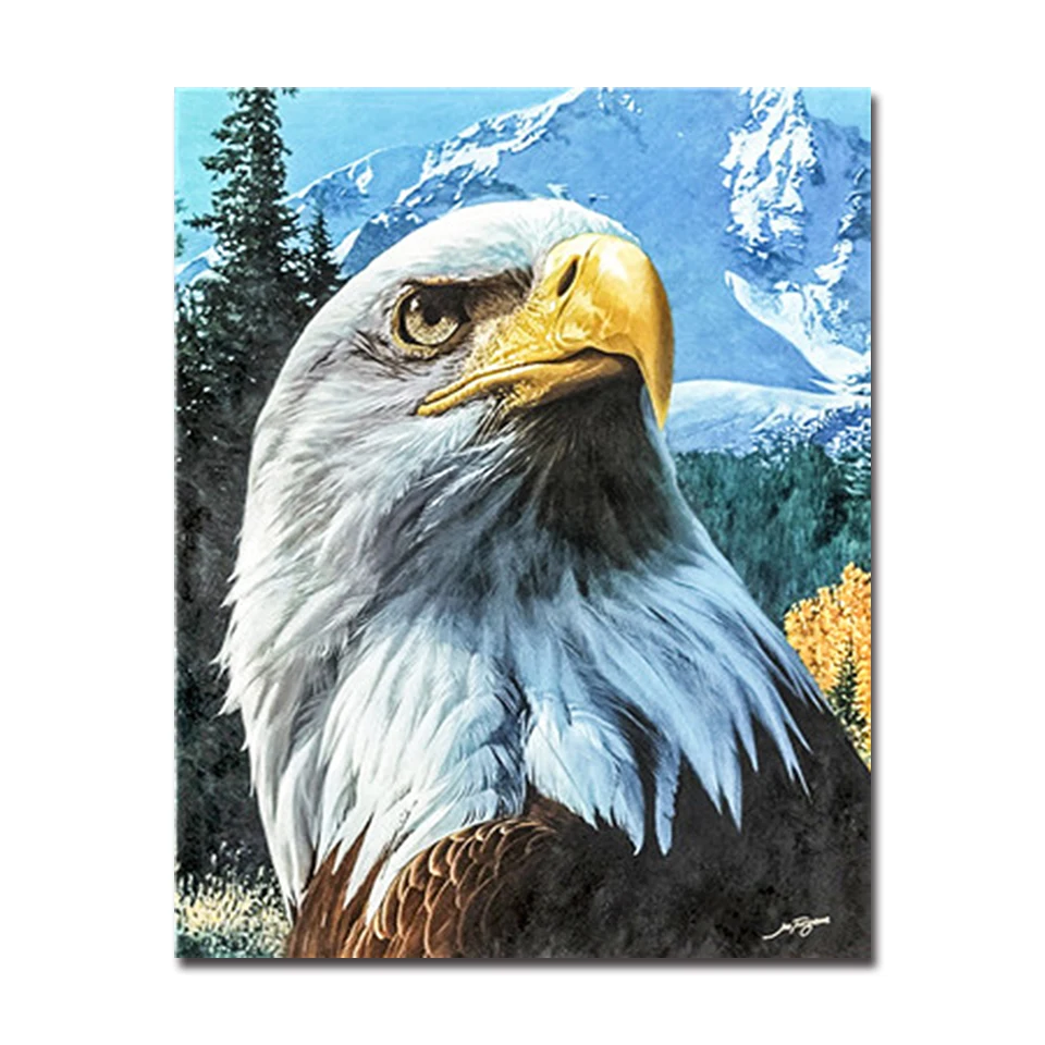 Flying Eagles DIY Набор для рисования по номерам окраска животных Орел Масляные картины ручная краска горная гостиная домашний декор в рамке - Цвет: Y5196