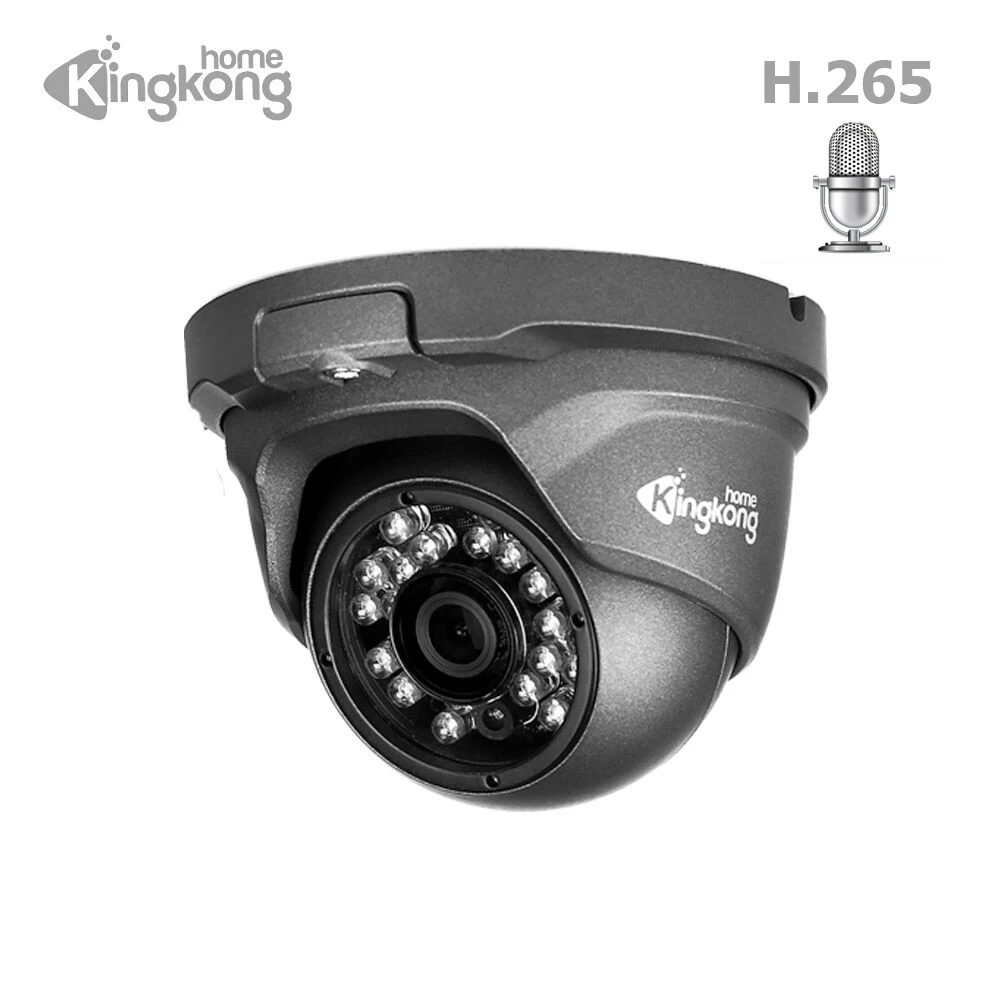 Kingkonghome 1080P PoE ip камера встроенный микрофон металлическая CCTV сетевая аудио ночное