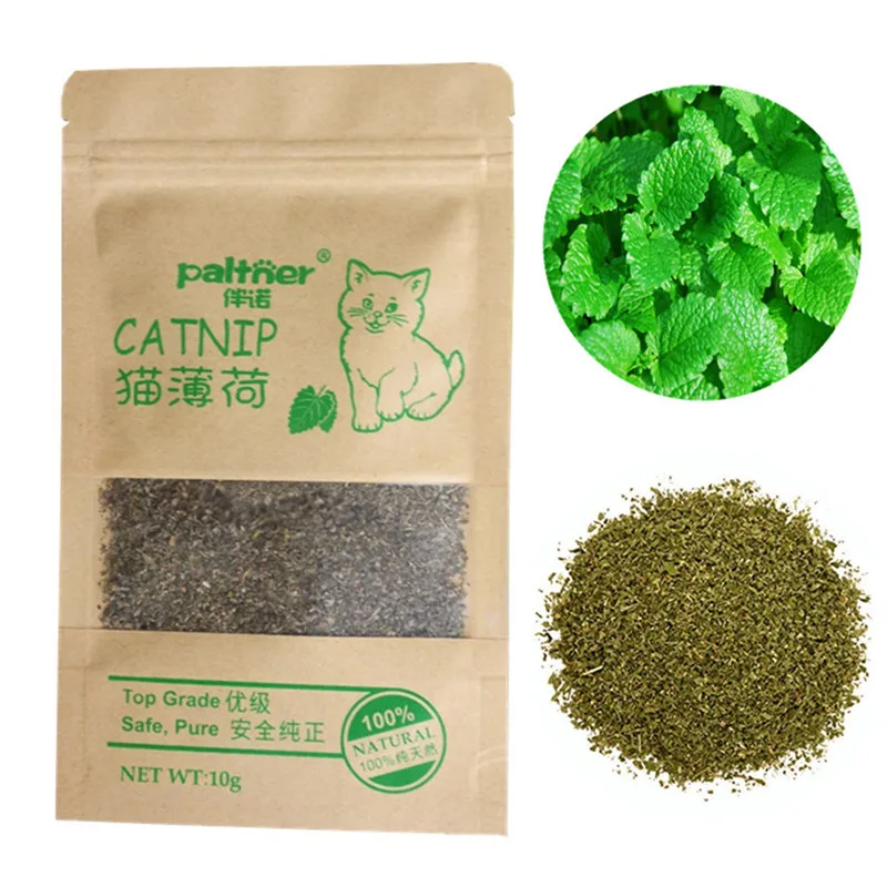 Funny Pet Cat Training Toy Organic 10g Natural Catnip Cattle Grass Cats Mint Leaves Menthol Flavor Kitten Supplies | Дом и сад