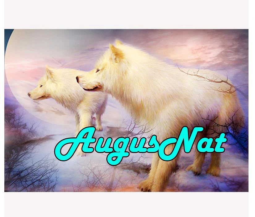 animal diamond painting white wolf daimond embroidery lover puzzle pictures diamant mosaic resin beads canvas poster big size | Дом и сад