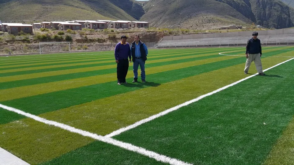 Искусственная трава для футбола|grama|grama artificial |