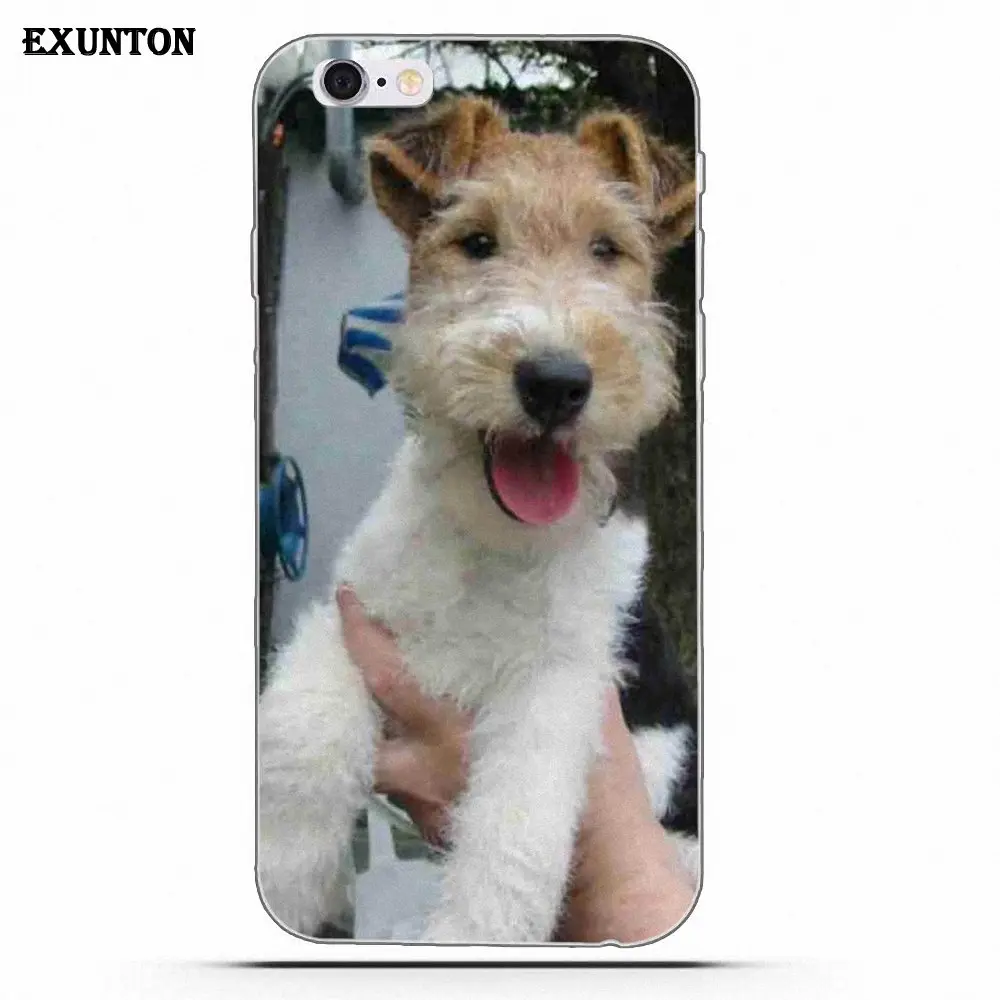as picture Провод Фокс терьер с очками ТПУ стиль для Apple iPhone 4 4S 5 5C SE 6 6S 7 8 Plus X - Цвет: as picture