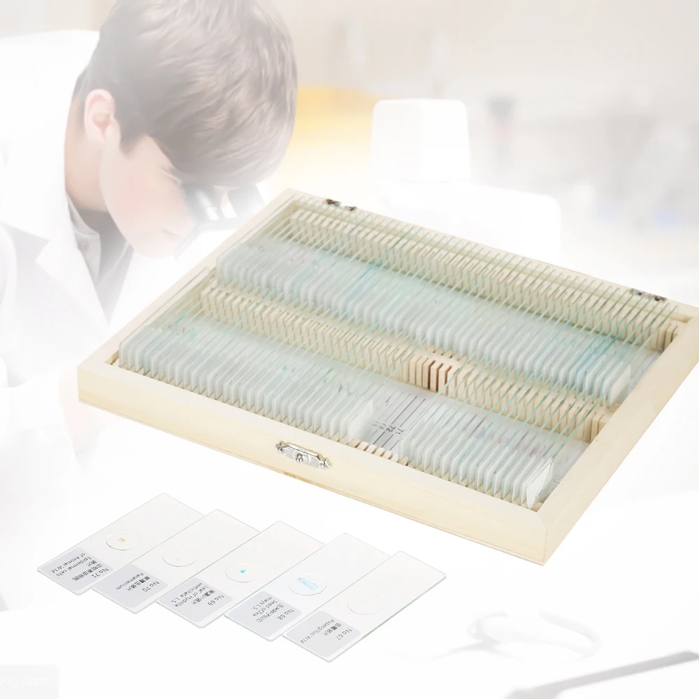 

Biology 25/50/100 pieces prepared glass microscope accessories slide school laboratory Chinese English label teaching samples