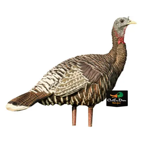 ZINK вызовы LCD AVIAN X Мерриам JAKE HEN комбинированный складной движение индейка