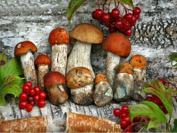 DIY алмазов картина вышивки крестом комплект фрукты Полный Круглый дрель