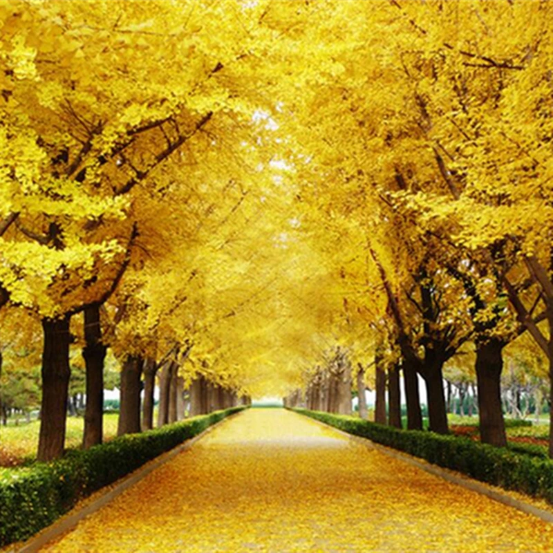 Обои 3D Narure для гостиной спальни стен фрески золотой лес фотообои пейзаж улица