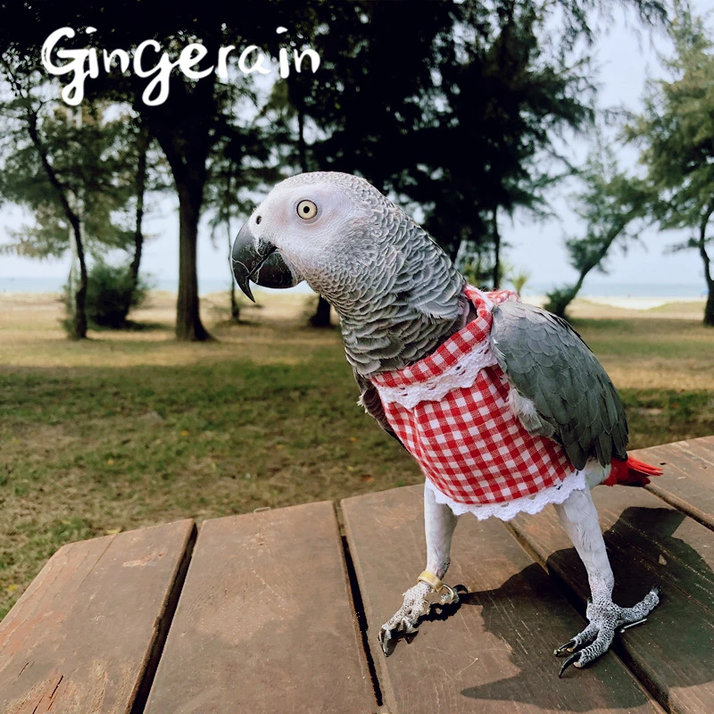 Gingerain одежда с птицами попугай Одежда Маленький принц оригинальный ручной работы