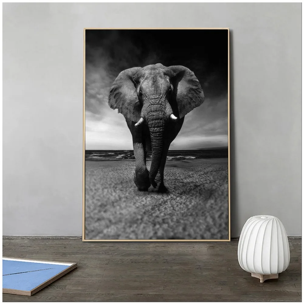 Черный и белый животных холст картины настенные для гостиной с изображением