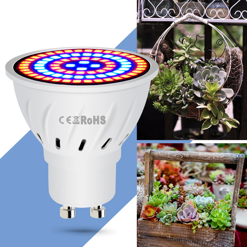 

E14 Plant Grow Light E27 LED Seedling Bulbs Full Spectrum B22 Phyto Lamps 4W 6W 8W GU10 Led Indoor Growing Light GU5.3 Grow Box