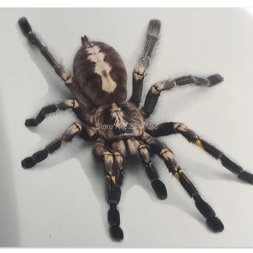 Автомобильные 3D наклейки и наклейка с царапинами для Opel Astra H G J Corsa D C B Insignia Zafira Vectra