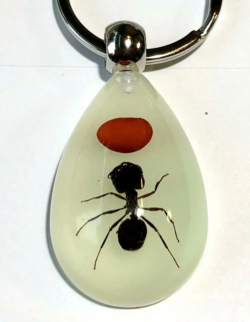 YQTDMY 10 шт. Мода аксессуары, очаровательный Red Bean Ant световой брелок капля для ключей