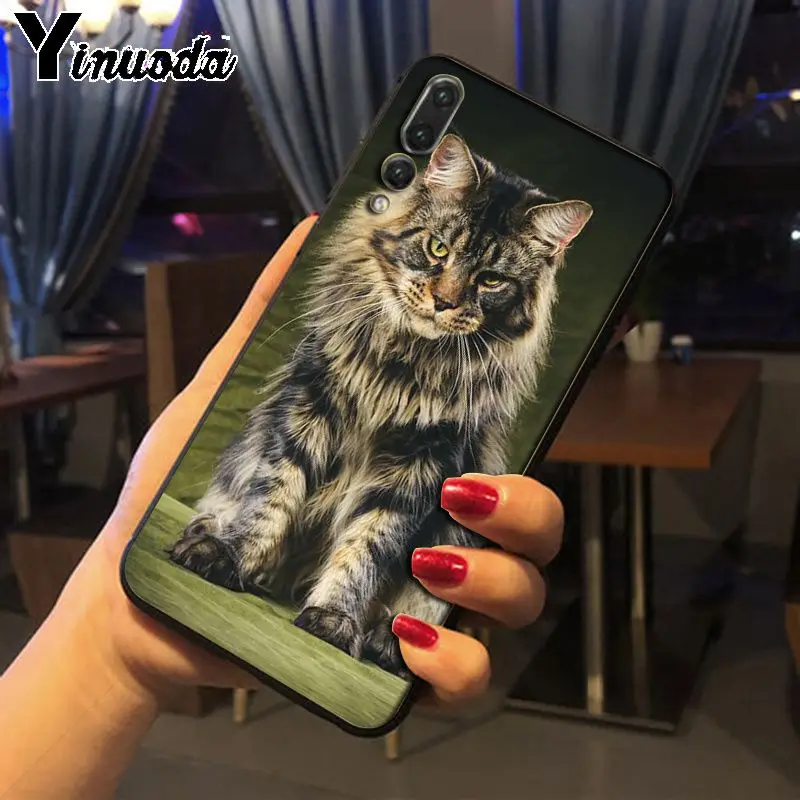 Yinuoda pet maine coon cat Phone Cases for Huawei P20pro mate10lite p10plus honor 8x 20 7A nova3i mate20lite funda | Мобильные